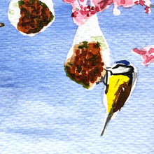 Load image into Gallery viewer, Tits Around Fat Balls - Original Watercolour Study