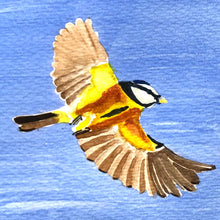 Load image into Gallery viewer, Tits Around Fat Balls - Original Watercolour Study