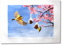 Load image into Gallery viewer, Tits Around Fat Balls - Original Watercolour Study