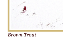 Load image into Gallery viewer, Brown Trout