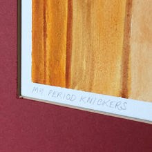 Load image into Gallery viewer, My Period Knickers - Framed Painting