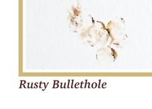 Load image into Gallery viewer, Rusty Bullethole