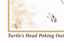 Load image into Gallery viewer, Turtle's Head Poking Out