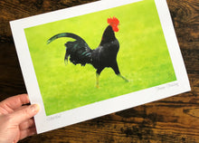 Load image into Gallery viewer, Untitled