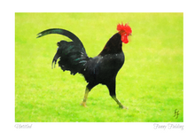 Load image into Gallery viewer, Untitled