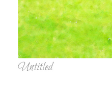 Load image into Gallery viewer, Untitled