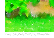 Load image into Gallery viewer, Cheeky Labs Peeping out of my Unkempt Bush