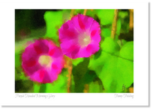 Load image into Gallery viewer, Purple Headed Morning Glory