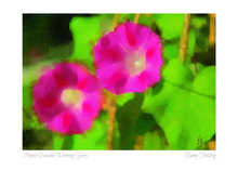 Load image into Gallery viewer, A5 Greeting Cards x 5