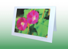 Load image into Gallery viewer, A5 Greeting Cards x 5