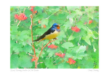 Load image into Gallery viewer, A5 Greeting Cards x 5