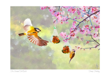 Load image into Gallery viewer, A5 Greeting Cards x 5