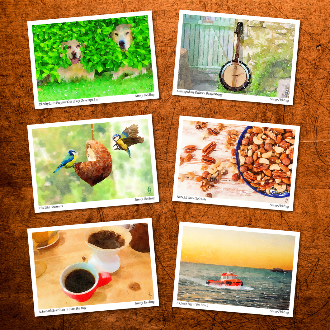 Rude Postcards x 6 NEW