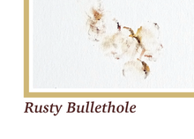 Load image into Gallery viewer, Rusty Bullethole
