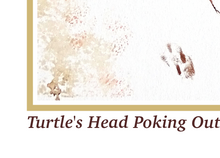 Load image into Gallery viewer, Turtle&#39;s Head Poking Out
